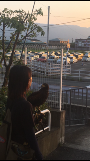 55FAE9A7-0008-4373-B303-2AD4674DEAB8.png