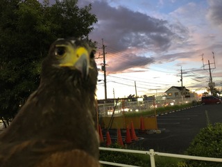 6B53F34A-5E2F-4B23-839D-999333805D0C.jpeg