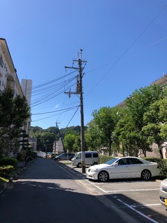 D9C2B14D-69E8-47E5-947F-234A61BF6700.jpeg
